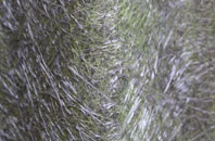 Rothbury fibreglass roof work